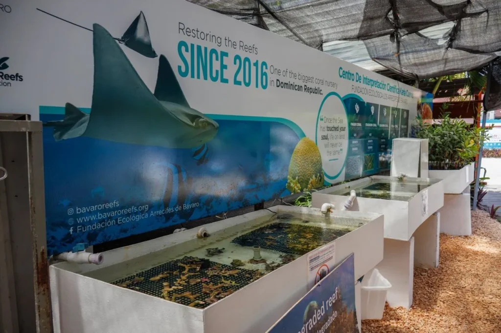 Centro de Interpretación Marina de la Fundación, con sus tanques de coral